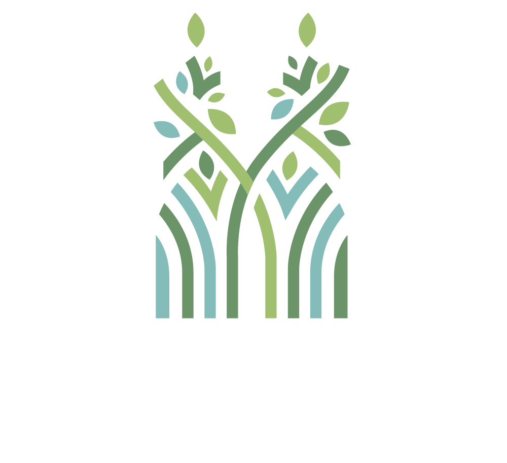 KLSS Logo